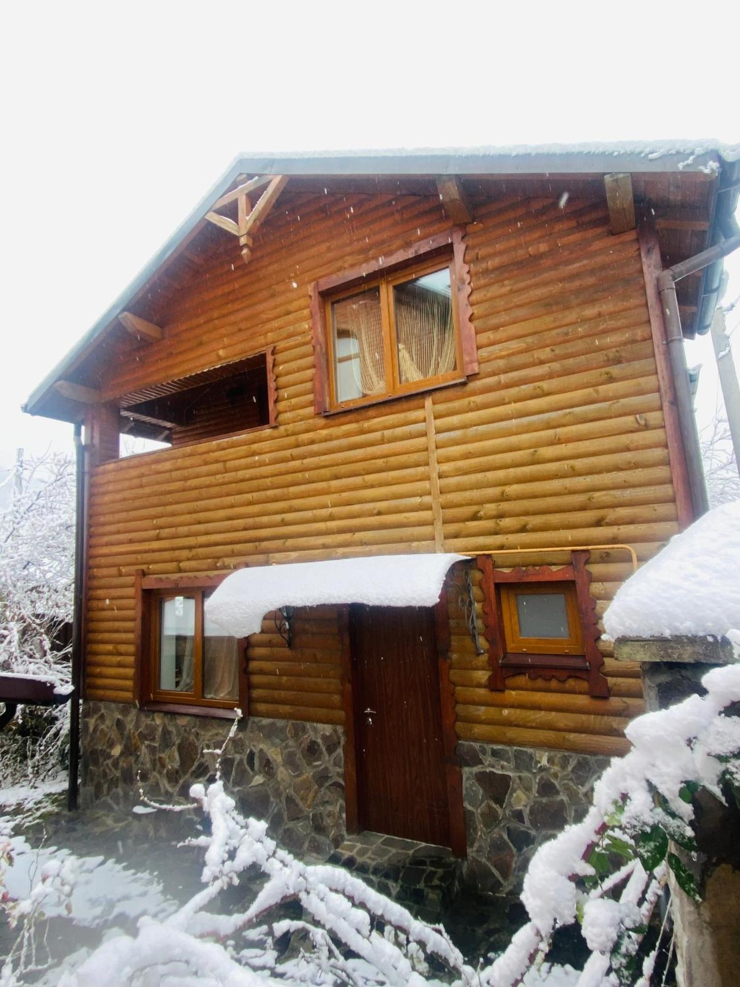 Villa VIP-Class Jaremče Esterno foto